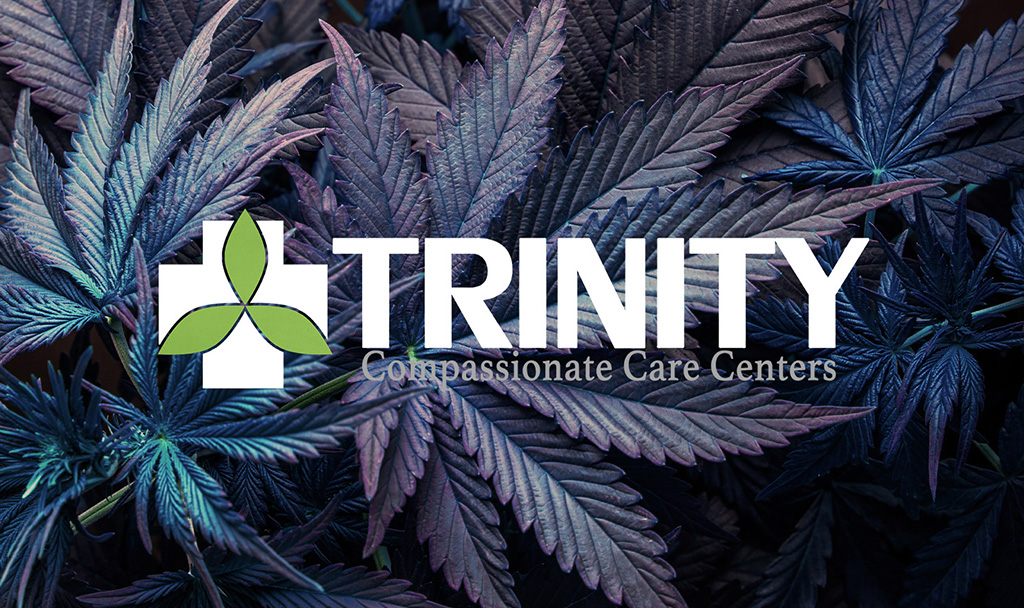 Trinity Cannabis Logo with Leaves | Idea Stream Marketing Close-up of cannabis leaves with Trinity logo and tagline.