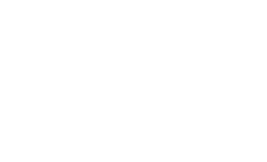 Steve Levy Logo White