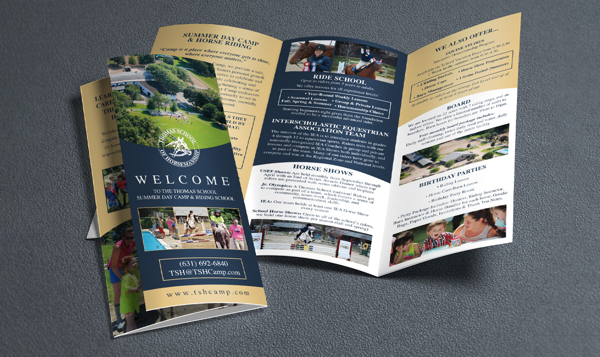 Thomas School of Horsemanship brochure design