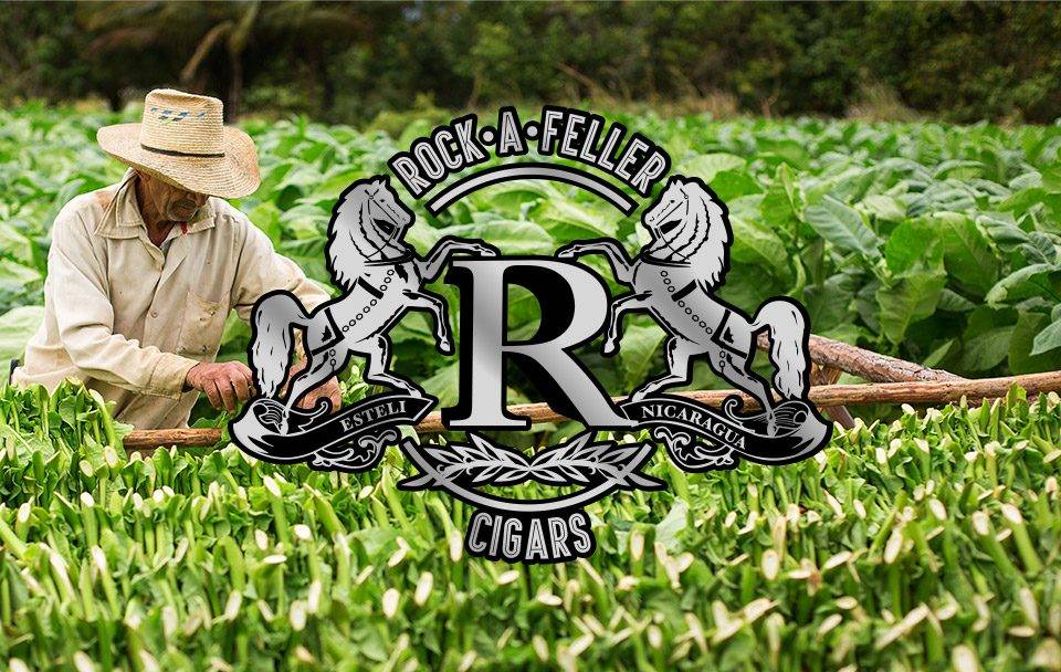 Rock a feller cigars logo mockup