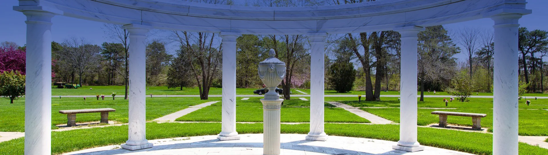 Pinelawn header background