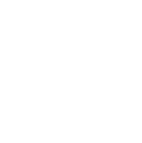 Ride with dylan logo white